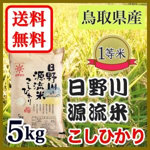 お米 白米 こしひかり 鳥取県 日南町産 日野川源流米 5kg 令和 5年産の商品画像