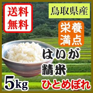 お米 白米 はいが米 5kg 鳥取県産 大山山麓米 健康一番 令和5年産｜komeyaseibei