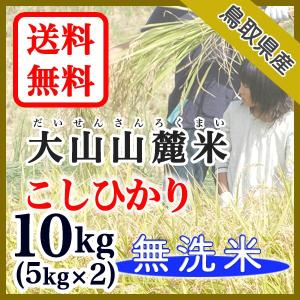 お米 無洗米 こしひかり 鳥取県 大山山麓米 5kg 2袋入 令和5年産の商品画像