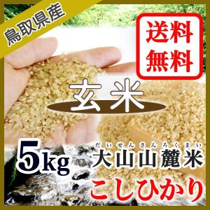 玄米 コシヒカリ 鳥取県産 大山山麓米 5kg 選別済 令和3年産