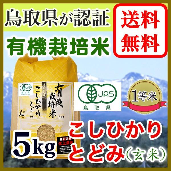 有機栽培米 玄米 こしひかり 鳥取県産 鳥取県認証 JAS  とどみ 5kg 令和5年産