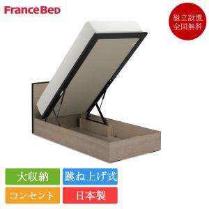 フランスベッド（FRANCEBED） 正規品 セット特価 ベッド ダブル BG-001