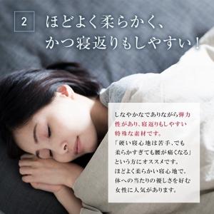 正規品 フランスベッド マットレス セミダブル...の詳細画像5