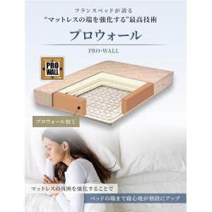 正規品 フランスベッド マットレス ダブル L...の詳細画像2