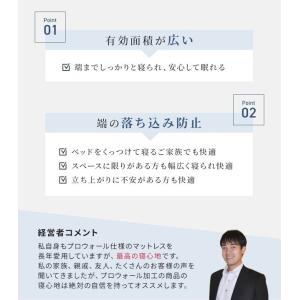 正規品 フランスベッド マットレス ダブル L...の詳細画像3