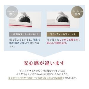 正規品 フランスベッド マットレス ダブル L...の詳細画像5