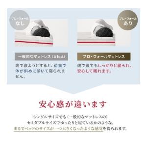 正規品 フランスベッド マットレス シングル ...の詳細画像5