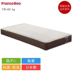 フランスベッド（FRANCEBED） 正規品 マットレス セミシングル TW-100α