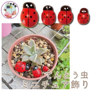 ミニチュアフィギュア　1個入　てんとう虫 動物　テラリウム　多肉植物　小美紀　苔盆栽　箱庭　装飾　お庭小物　ウッドデコパーツ