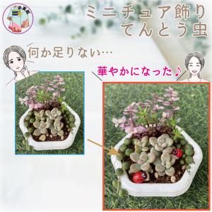 ミニチュアフィギュア 1個入 てんとう虫 動物...の詳細画像1