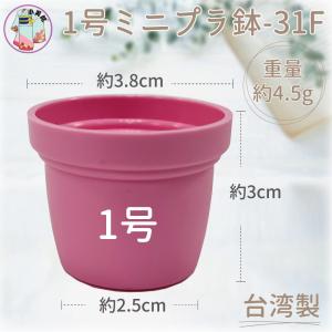 1号 1寸 ミニプラ鉢 プラ鉢 植木鉢 多肉植...の詳細画像1
