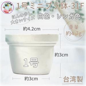 1号 1寸 ミニプラ鉢 プラ鉢 植木鉢 多肉植...の詳細画像3