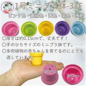 1号 1寸 ミニプラ鉢 プラ鉢 植木鉢 多肉植...の詳細画像2