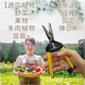 芽切り鋏 小美紀 剪定鋏 剪定ばさみ ガーデニ...の詳細画像3