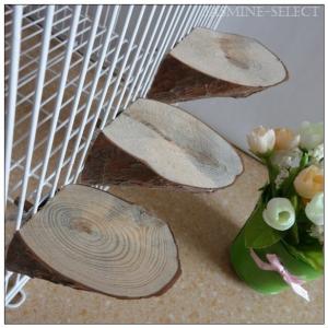 小動物用 足場 台 ステップ ケージに取り付け かじり木