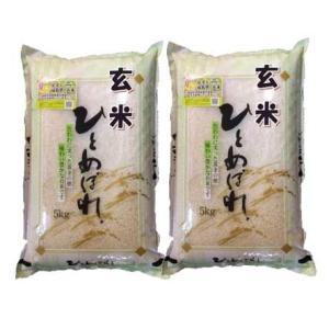 【玄米】 福島県会津産ひとめぼれ10kg　(5kg×2袋) 令和5年産 石抜き処理済「ふくしまプライド。体感キャンペーン（お米）」｜komodokoro