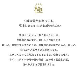 マーナ 送料無料 ご飯 冷凍 容器 中 4個セ...の詳細画像3