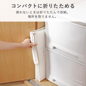 中身が見える 折りたたみ 収納ボックス 単品 ...の詳細画像4