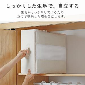 中身が見える 折りたたみ 収納ボックス 単品 ...の詳細画像5