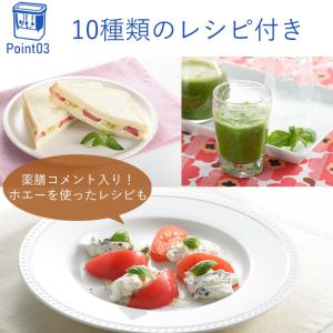 全国送料無料 水切りヨーグルトができる容器 レ...の詳細画像4