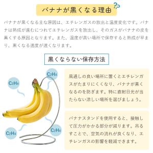 ステンレス バナナスタンド バナナホルダー 吊...の詳細画像3