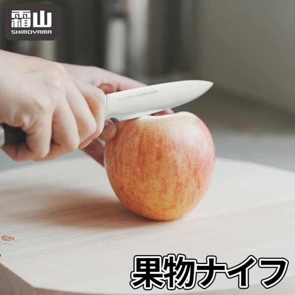 全国送料無料 包丁 果物ナイフ 単品 キッチン 調理器具 ステンレス 野菜 魚 肉 切れ味 彩木 新...