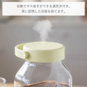 梅酒瓶 果実酒 瓶 密封瓶 2L レードル セ...の詳細画像5