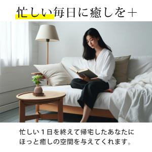 観葉植物 パキラ ガジュマル コーヒーの木 サ...の詳細画像2