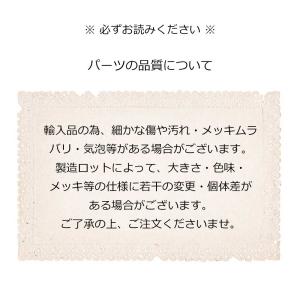 サージカルステンレス ブローチピン シルバー ...の詳細画像5