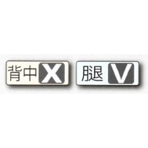 サンコータイタン フルハーネス型1丁掛ロープ式...の詳細画像4