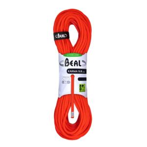 BEAL（ベアール） ロープ 10mm バイラス 60m BE11161 ザイル 