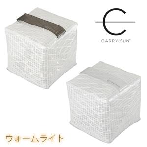 キャリー・ザ・サン ミディアム ウォームライト CTSWの商品画像