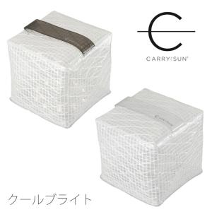 キャリー・ザ・サン ミディアム クールブライト CTSCの商品画像