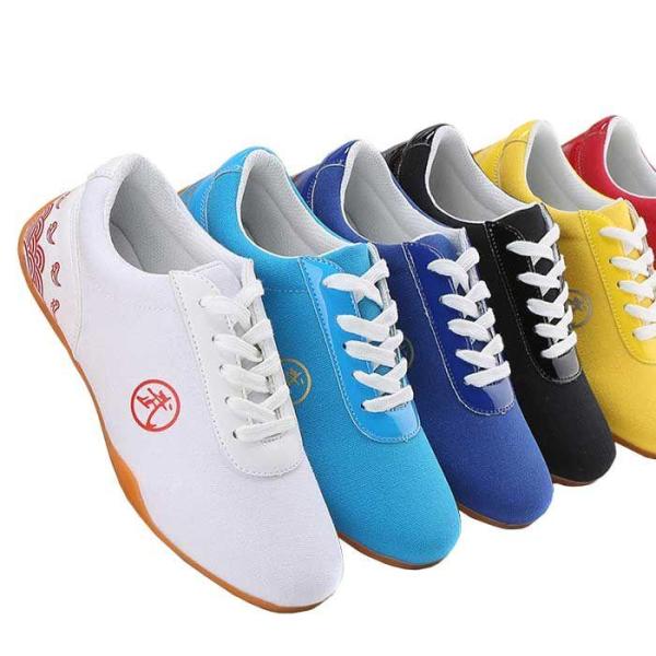 太極拳シューズ 太極拳 太極拳用シューズ 男女兼用 カンフーシューズ 布靴 春 夏 スニーカー 武術...