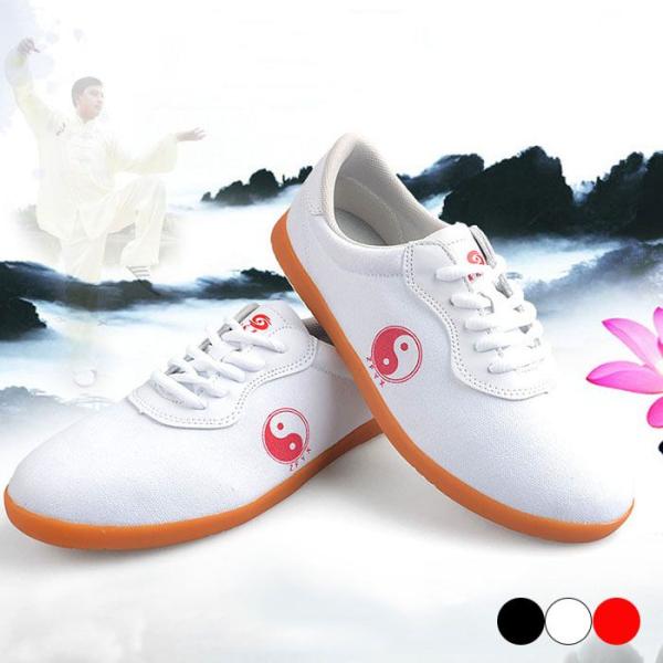 男女兼用太極拳靴 太極拳シューズ 太極拳 靴 シューズ 武術 靴 大人用 レディース メンズ スポー...