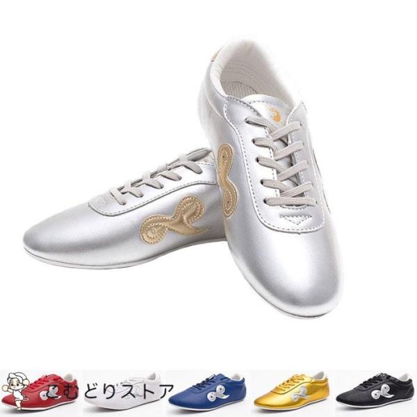 バレンタインデー 太極拳シューズ 雲 ユン 太極拳 武術 カンフー 靴 6色 シューズ 男女兼用 太...