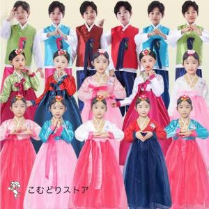 韓国民族衣装 チマチョゴリ 韓服 全6色 鳥 花 蝶 刺繍 華やか 100cm