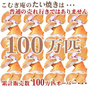 【めざましテレビで紹介】凍みたい&プレミアム ...の詳細画像2