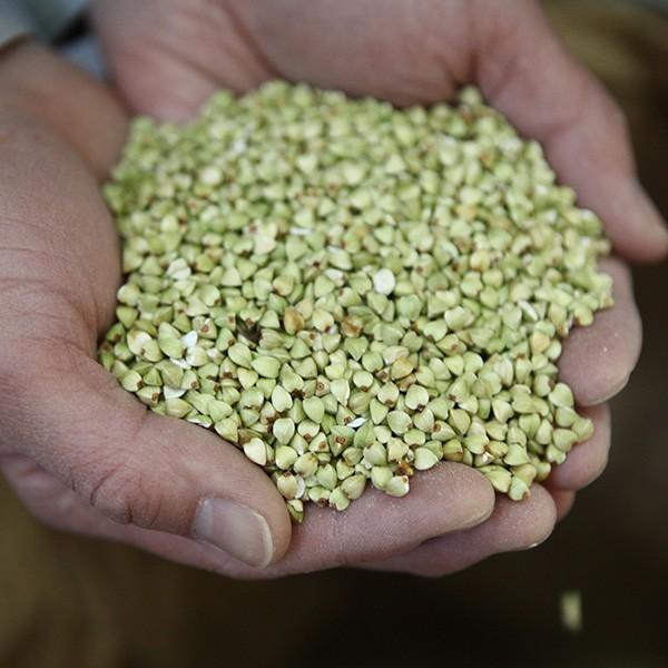 業務用 国内産そばの実 10kg 紙袋 丸抜き実 2025年産そば 大西製粉 国内産 国産 そばのみ...