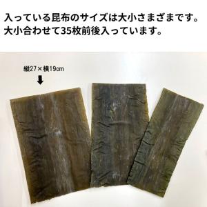 昆布 昆布締め用昆布 富山 さしみ昆布 業務用...の詳細画像1