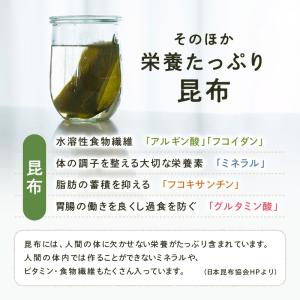 昆布粉末 無添加 昆布粉 粉末昆布 昆布パウダ...の詳細画像3