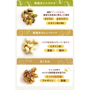 ミックスナッツ こぶNuts 255g×[10...の詳細画像5