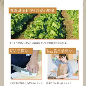 乾燥野菜 国産100% 無添加 大容量 青森の...の詳細画像4