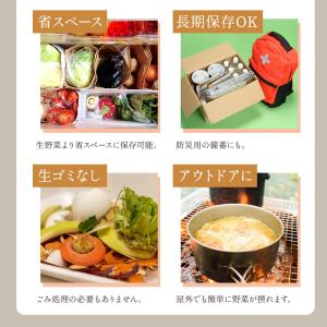 乾燥野菜 国産100% 無添加 大容量 青森の...の詳細画像5