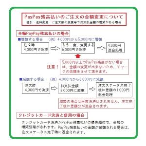 ホリスティックレセピー バリュー(チキン&ライ...の詳細画像5