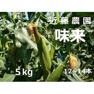【朝取り】近藤農園直送 北海道羊蹄山麓産 味来 とうもろこし 約5kg