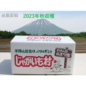 【近藤農園】新じゃが(農家直送)北海道羊蹄山麓産【とうや】 10kg
