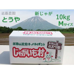 新じゃが【近藤農園】(農家直送)北海道羊蹄山麓産 正品【とうやMサイズ】 10kg