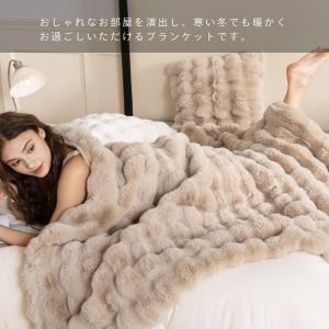 毛布 暖かい セミダブル ふわとろ毛布 ブラン...の詳細画像4