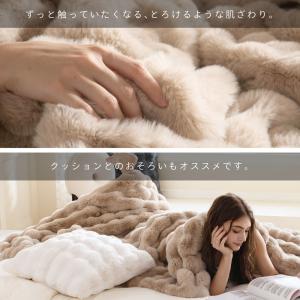 毛布 暖かい セミダブル ふわとろ毛布 ブラン...の詳細画像5